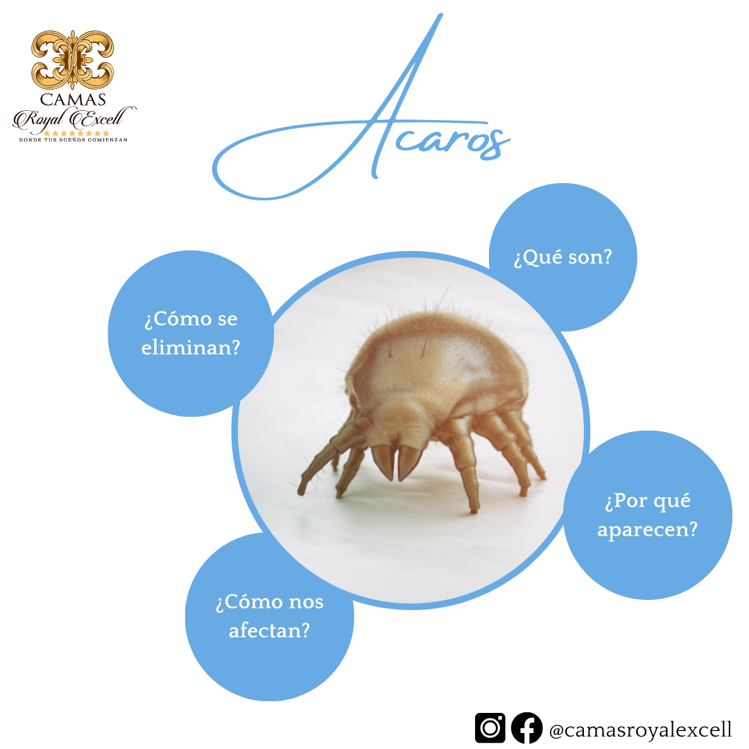 acaros